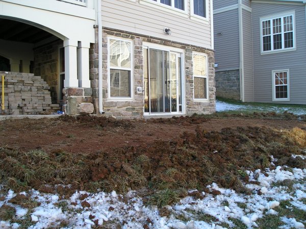 Backyard - Before