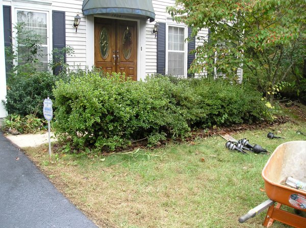 Frontyard - Before