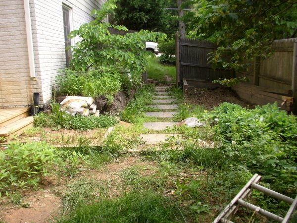 Before (Left)